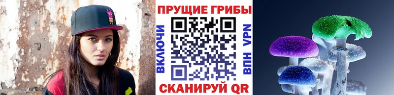 Псилоцибиновые грибы мицелий  Губкинский 